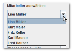 Kompexe Datentypen Mitarbeiter Drop Down (Combo Box, Combo Box Modell)